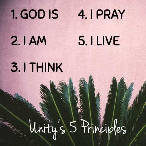 UNITY 5 Principles